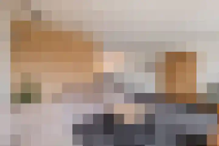 Reggeland 4 Nieuwleusen thumbnail 10