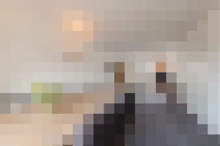 Reggeland 4 Nieuwleusen thumbnail 13