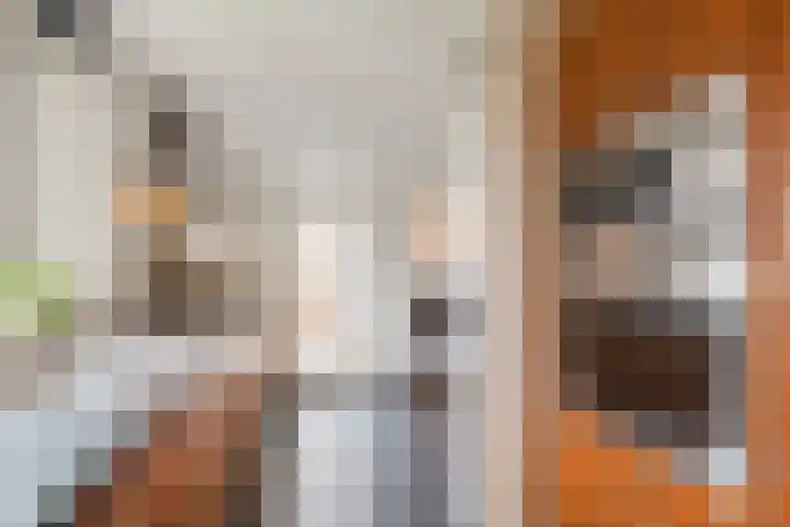 Reggeland 4 Nieuwleusen thumbnail 17