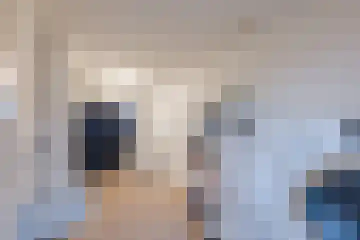 Reggeland 4 Nieuwleusen thumbnail 18
