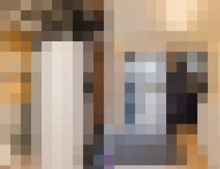 Reggeland 4 Nieuwleusen thumbnail 20