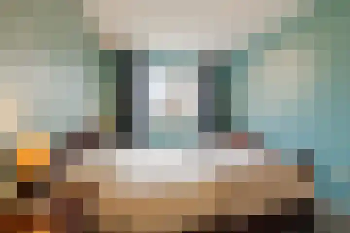 Reggeland 4 Nieuwleusen thumbnail 22