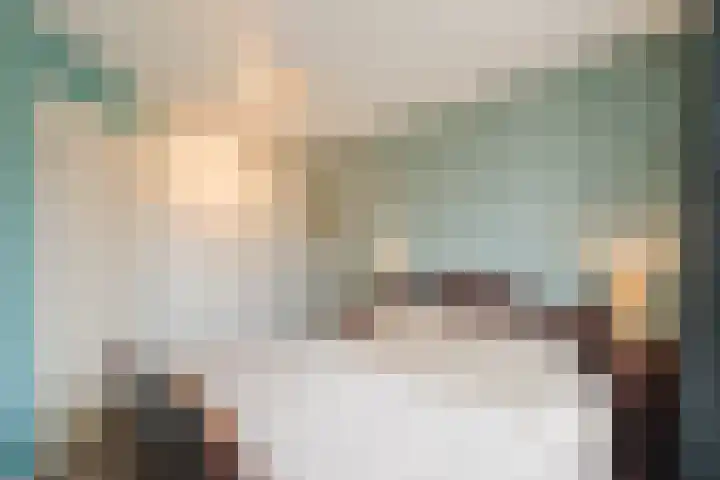 Reggeland 4 Nieuwleusen thumbnail 23