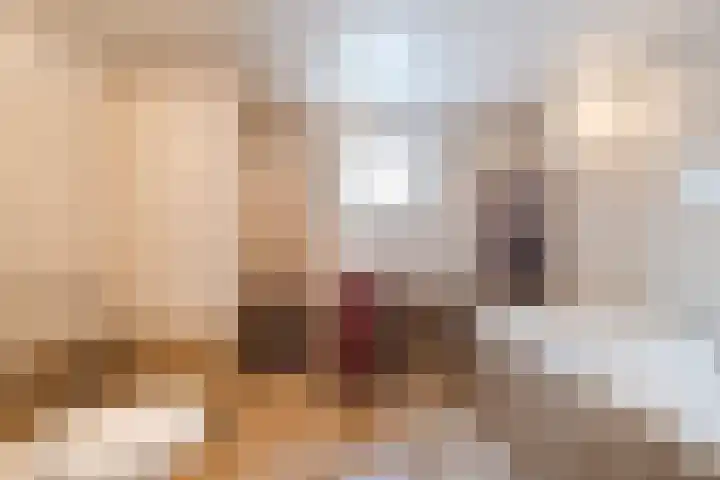 Reggeland 4 Nieuwleusen thumbnail 24