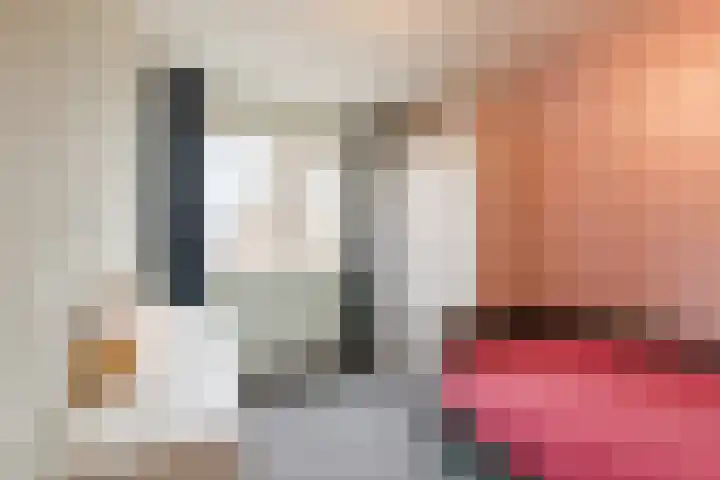 Reggeland 4 Nieuwleusen thumbnail 27