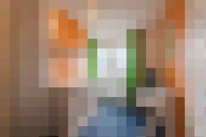 Reggeland 4 Nieuwleusen thumbnail 29