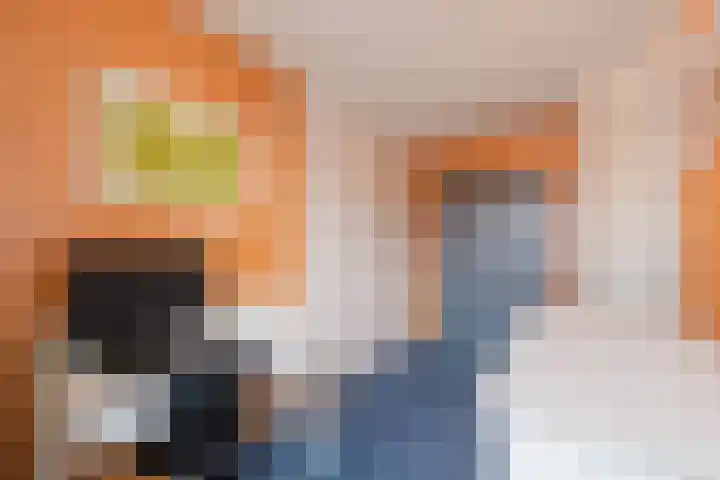 Reggeland 4 Nieuwleusen thumbnail 30