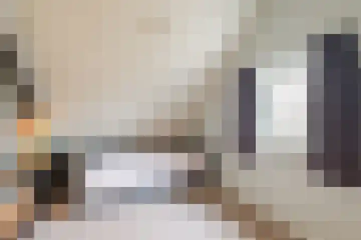 Reggeland 4 Nieuwleusen thumbnail 39