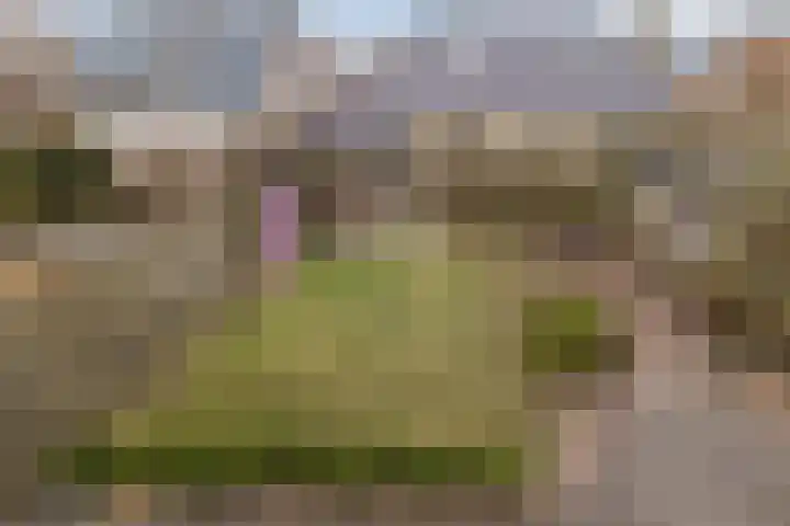 Reggeland 4 Nieuwleusen thumbnail 41