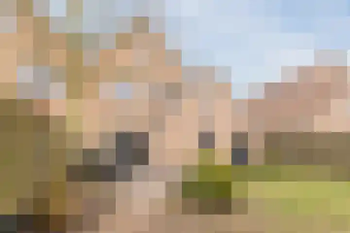Reggeland 4 Nieuwleusen thumbnail 42
