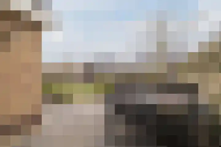 Reggeland 4 Nieuwleusen thumbnail 44