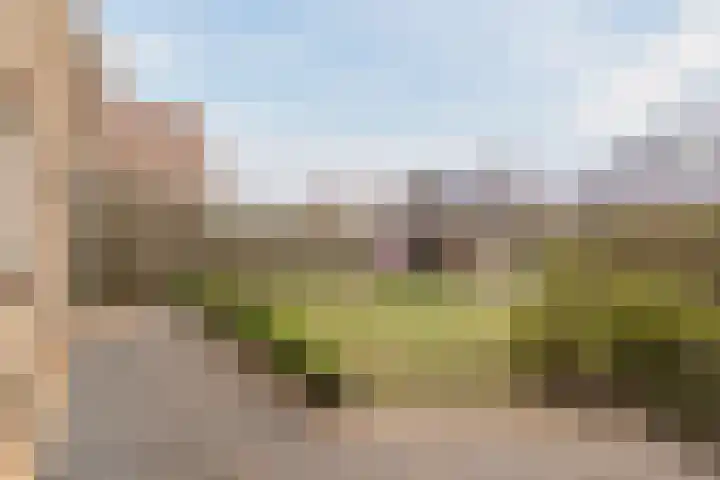 Reggeland 4 Nieuwleusen thumbnail 45