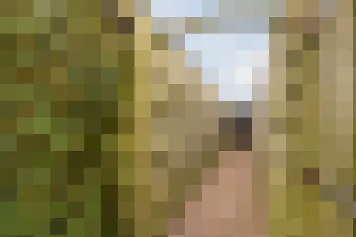 Reggeland 4 Nieuwleusen thumbnail 48