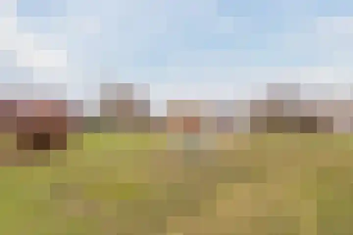 Reggeland 4 Nieuwleusen thumbnail 50