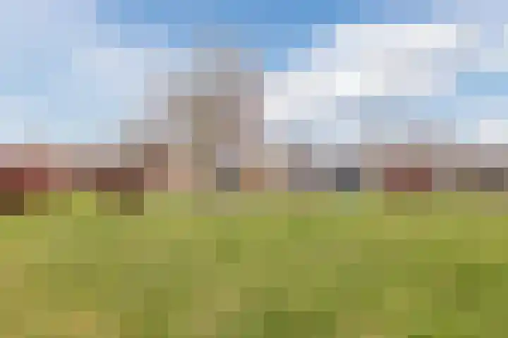 Reggeland 4 Nieuwleusen thumbnail 51