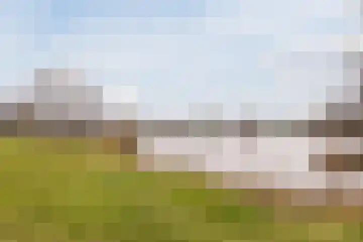 Reggeland 4 Nieuwleusen thumbnail 53