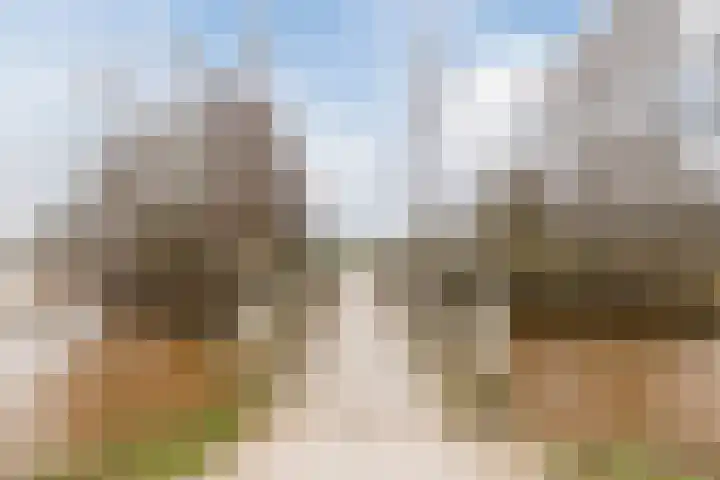 Reggeland 4 Nieuwleusen thumbnail 54