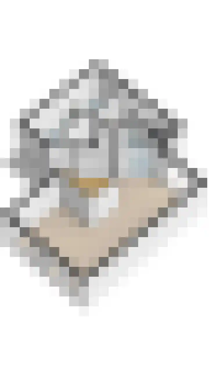 Reggeland 4 Nieuwleusen thumbnail 56