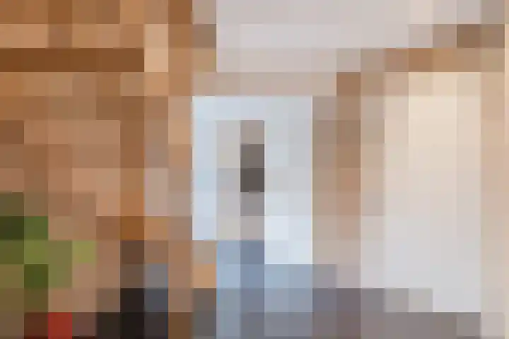 Reggeland 4 Nieuwleusen thumbnail 6