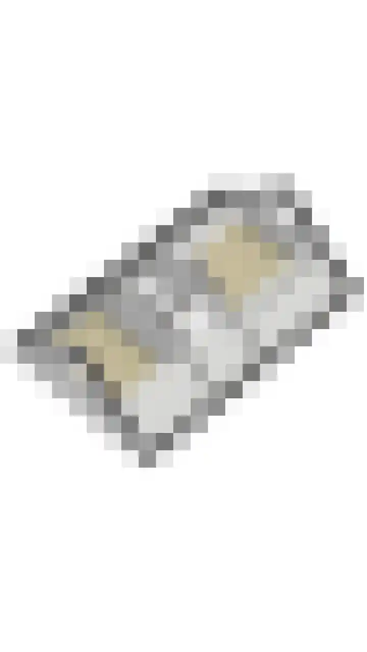Reggeland 4 Nieuwleusen thumbnail 60