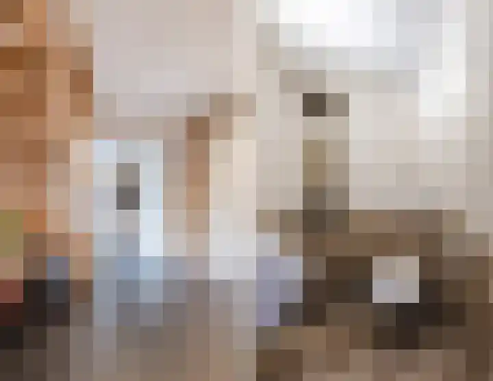Reggeland 4 Nieuwleusen thumbnail 7