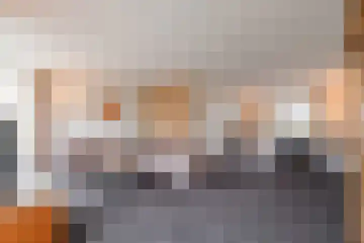 Reggeland 4 Nieuwleusen thumbnail 8