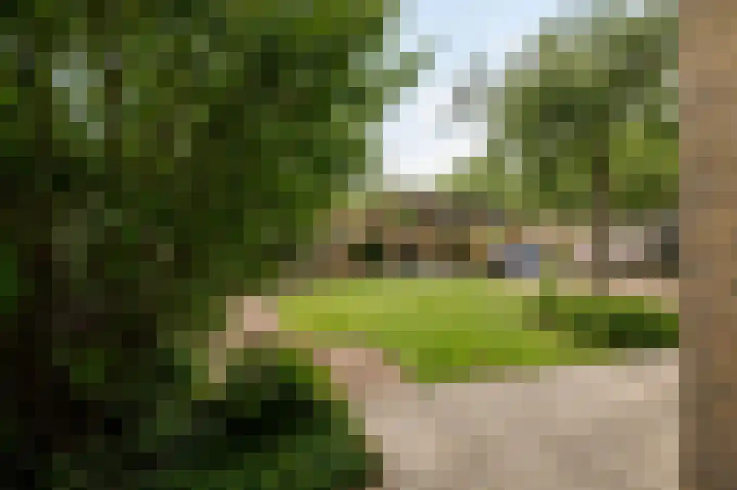 Reggepad 8 Culemborg thumbnail 21