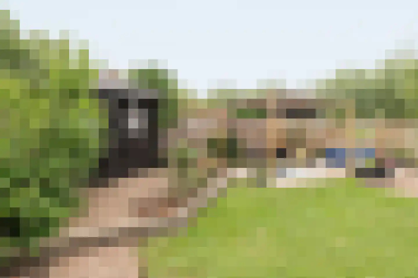 Reggepad 8 Culemborg thumbnail 23