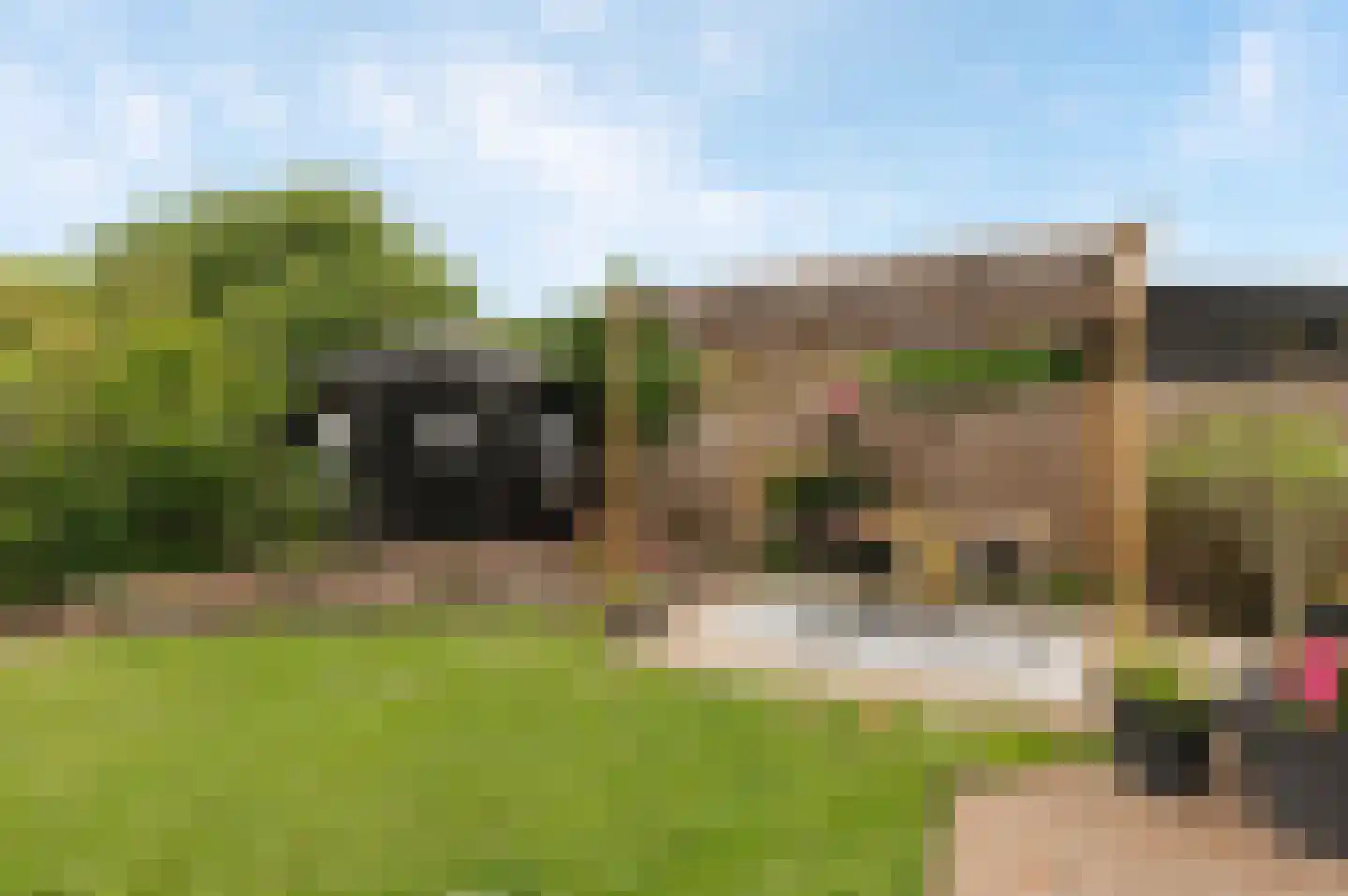 Reggepad 8 Culemborg thumbnail 24