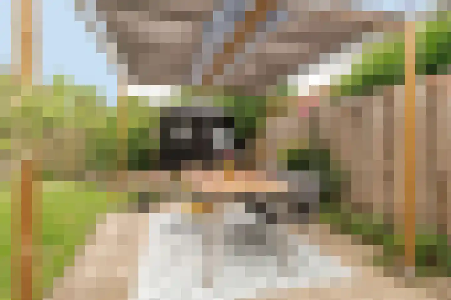 Reggepad 8 Culemborg thumbnail 25