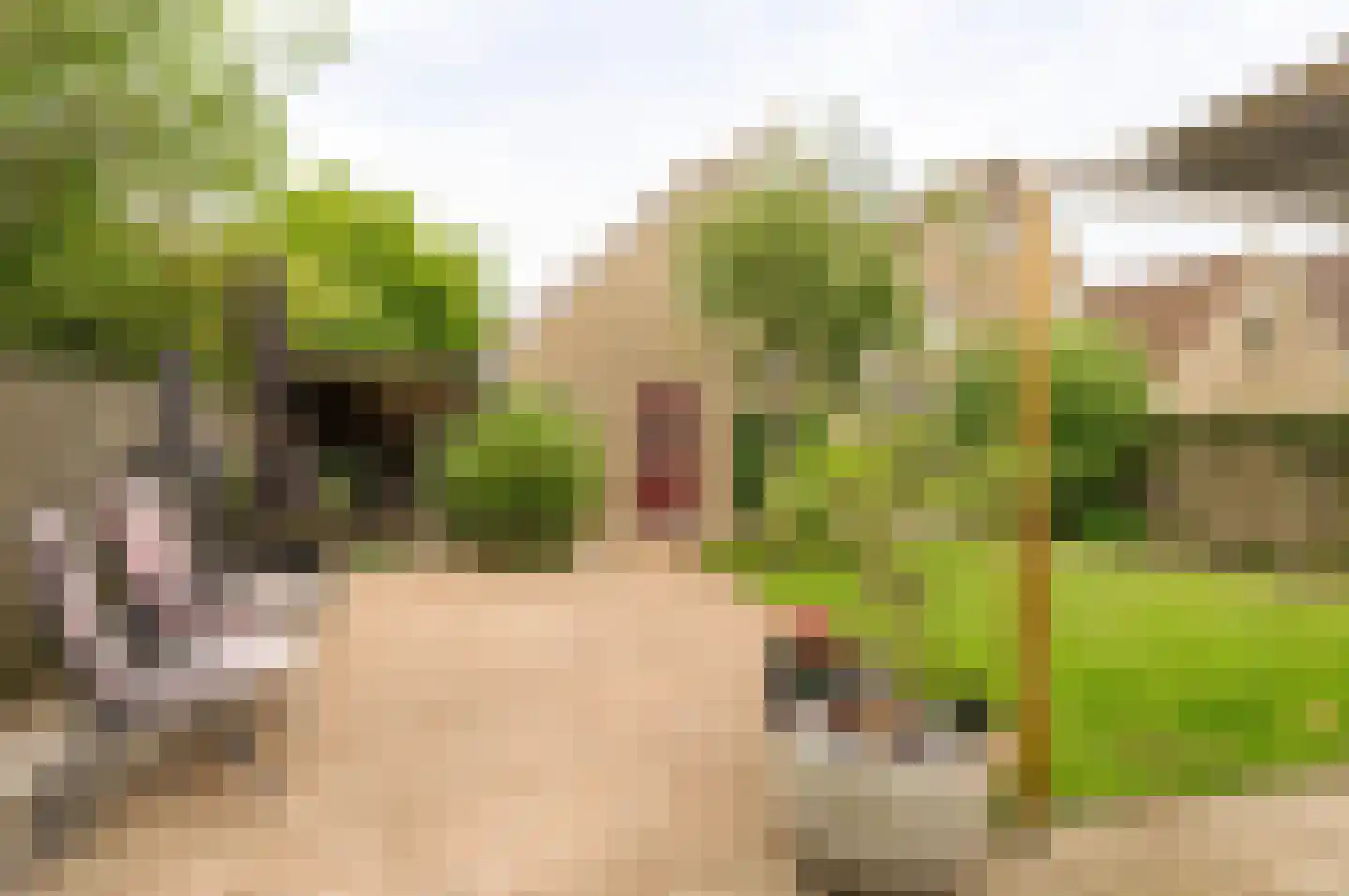 Reggepad 8 Culemborg thumbnail 30