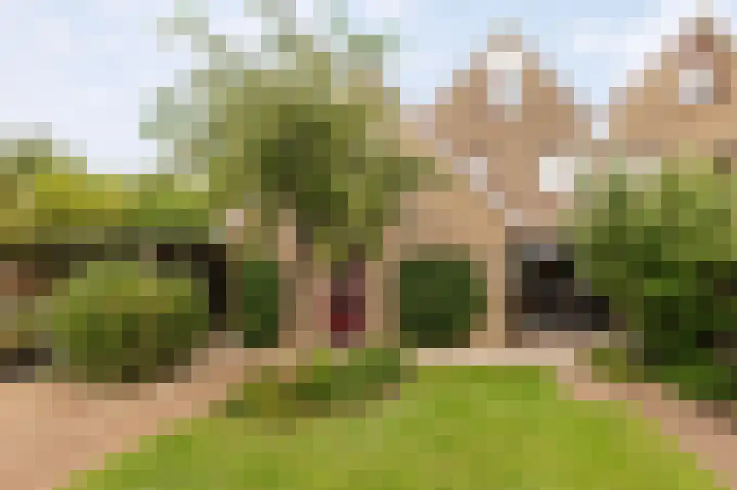 Reggepad 8 Culemborg thumbnail 31