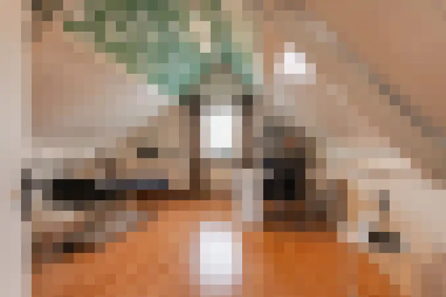Reggepad 8 Culemborg thumbnail 45