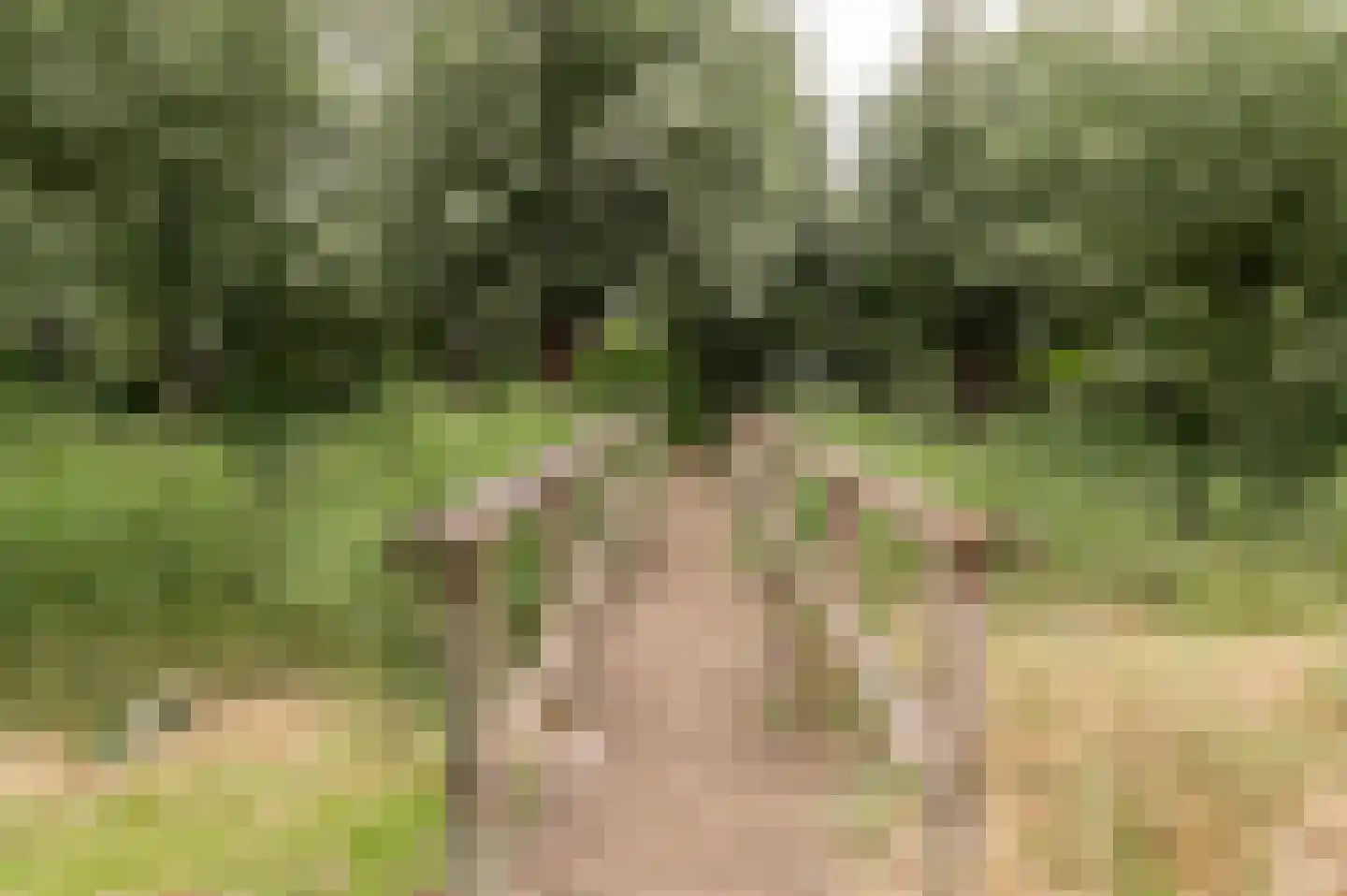 Reggepad 8 Culemborg thumbnail 52