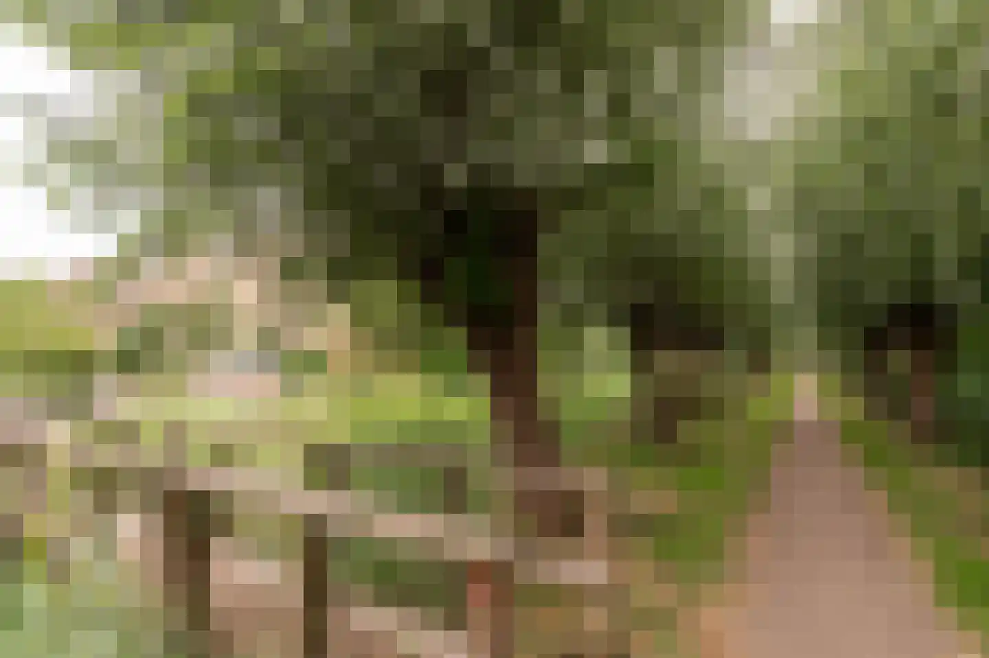 Reggepad 8 Culemborg thumbnail 53