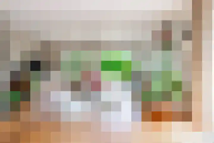Reggeplantsoen 4 Almere thumbnail 18