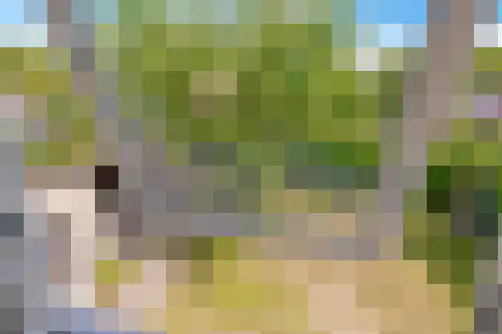 Reggeplantsoen 4 Almere thumbnail 45