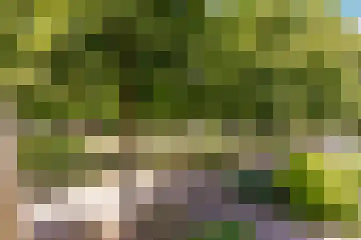 Reggeplantsoen 4 Almere thumbnail 55