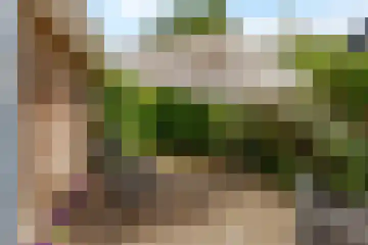 Reggeplantsoen 4 Almere thumbnail 57