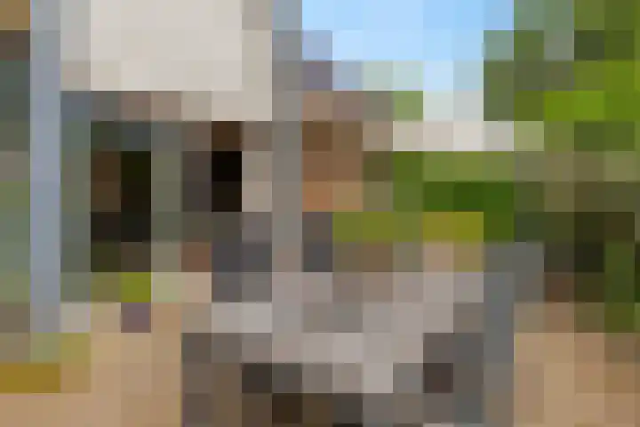 Reggeplantsoen 4 Almere thumbnail 58