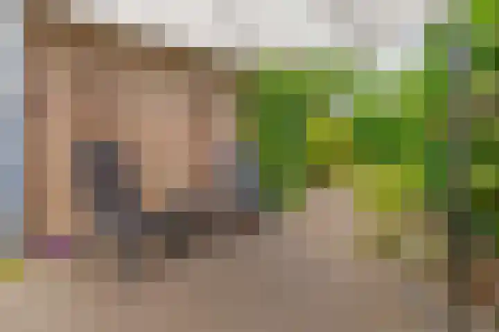 Reggeplantsoen 4 Almere thumbnail 60