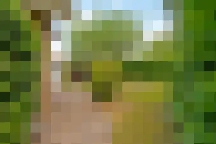 Reggeplantsoen 4 Almere thumbnail 62
