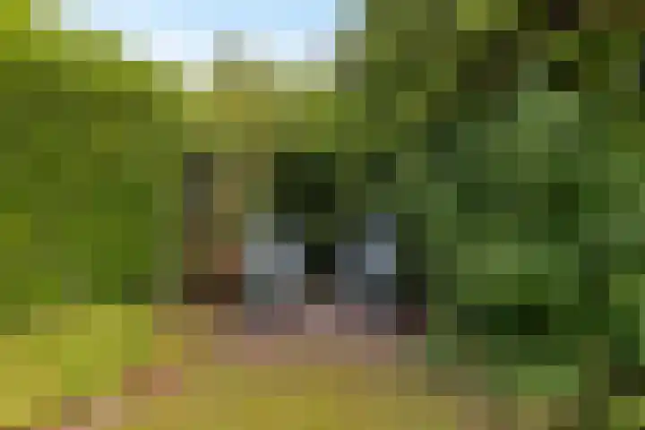 Reggeplantsoen 4 Almere thumbnail 64