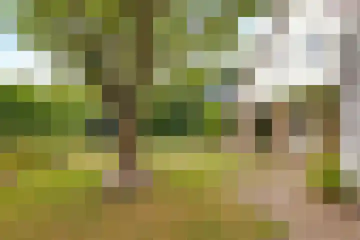Reggeplantsoen 4 Almere thumbnail 65