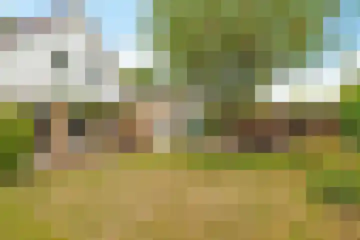 Reggeplantsoen 4 Almere thumbnail 66