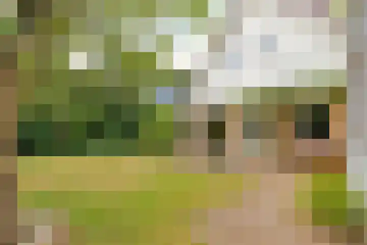 Reggeplantsoen 4 Almere thumbnail 67