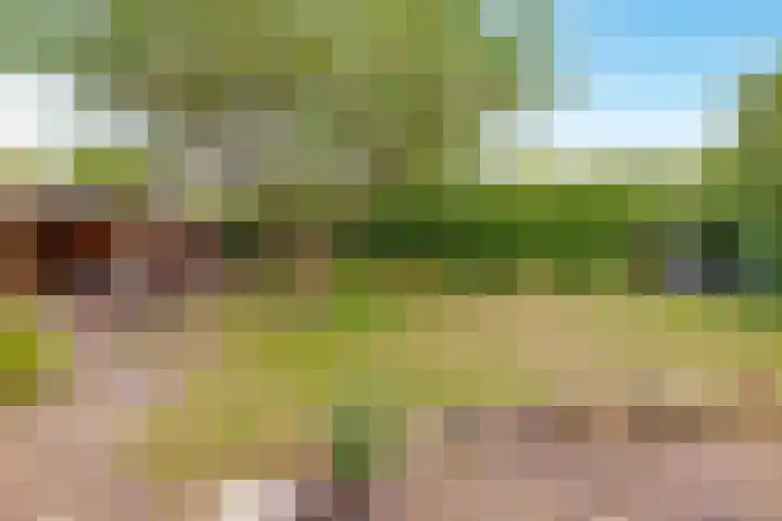 Reggeplantsoen 4 Almere thumbnail 69