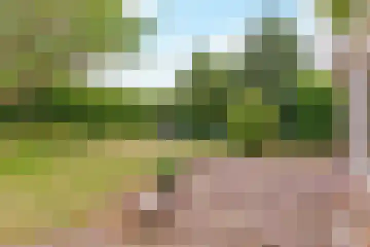 Reggeplantsoen 4 Almere thumbnail 71