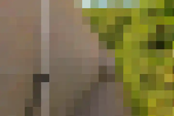 Reggeplantsoen 4 Almere thumbnail 74