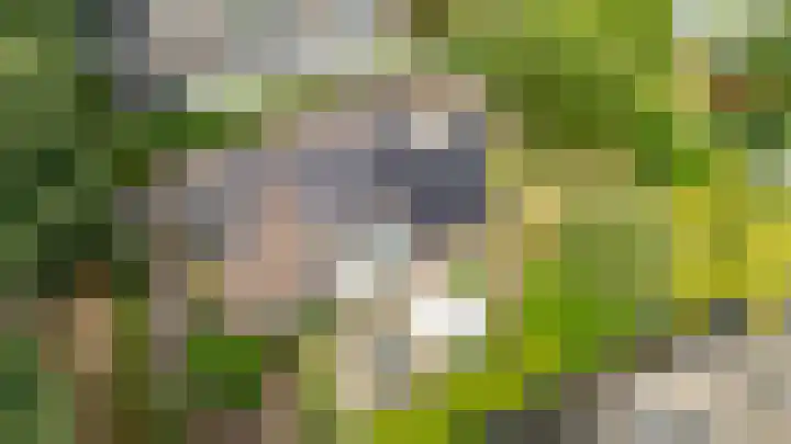 Reggeplantsoen 4 Almere thumbnail 75